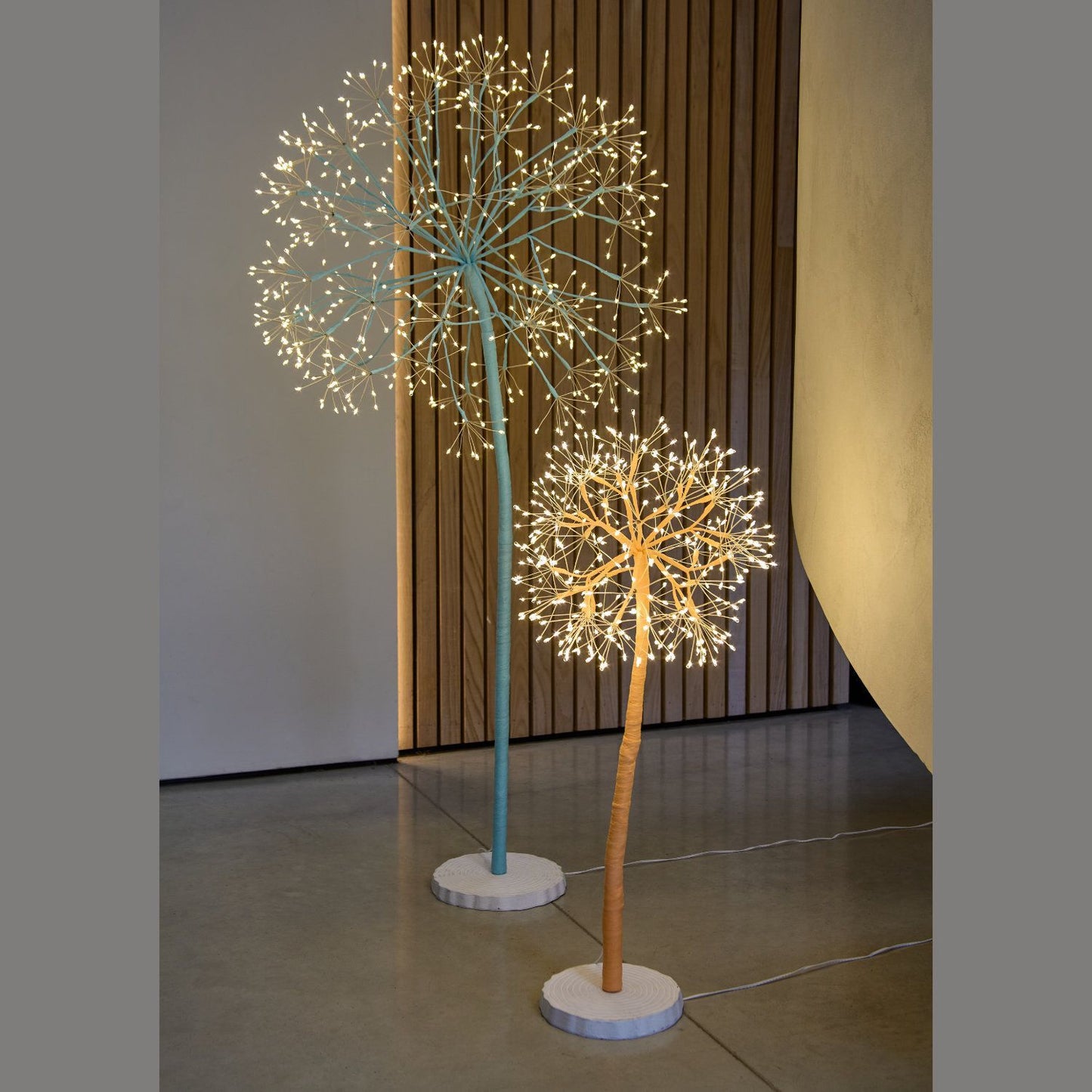 Dandelion Tree Purple pre paid  120 cm