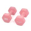 Pair Hex Dumbbell 1-10KG