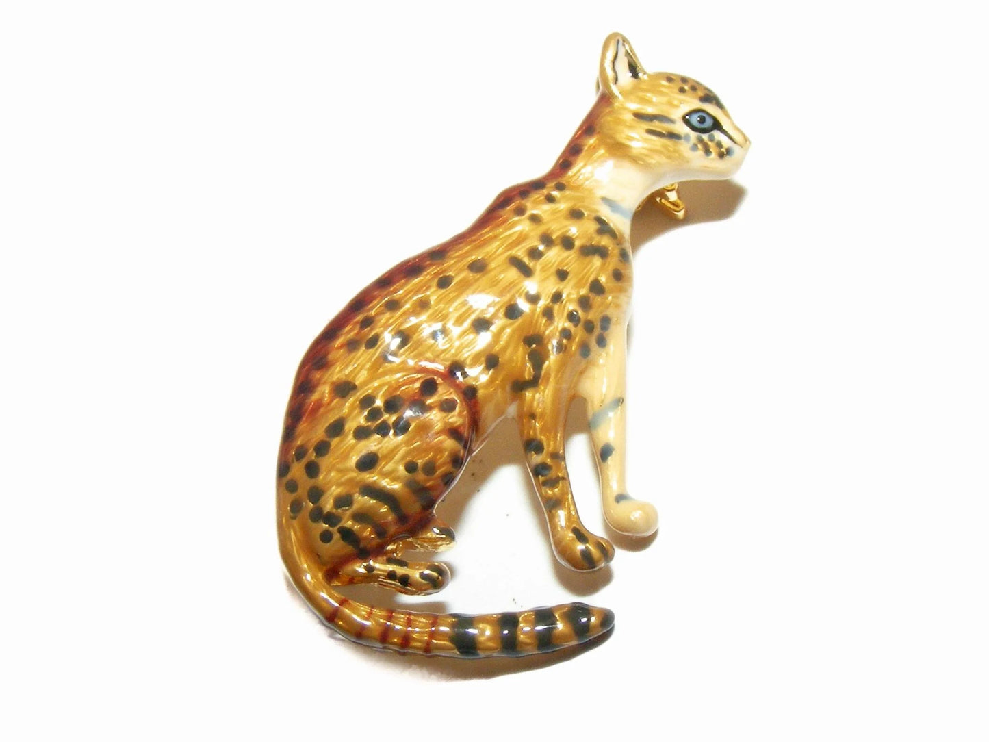Bengal cat