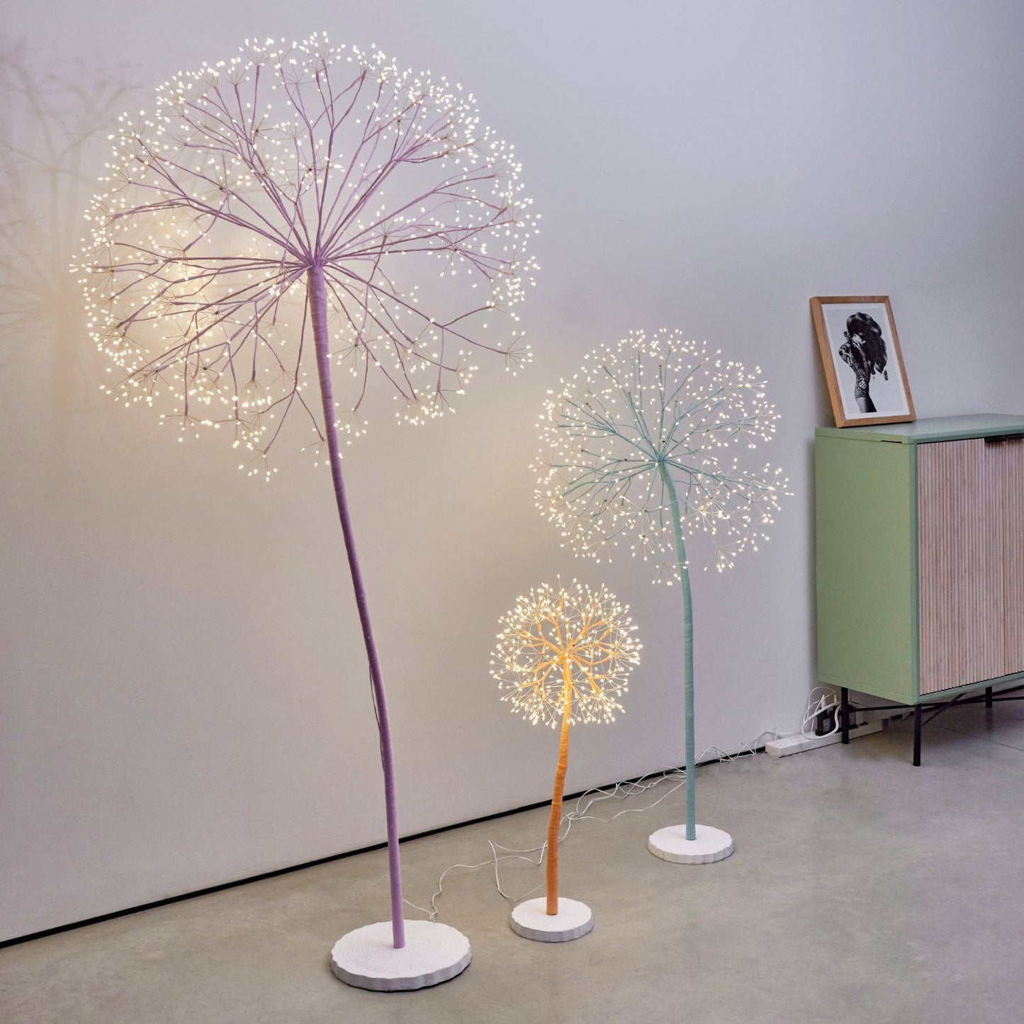 Dandelion Tree Purple pre paid  120 cm