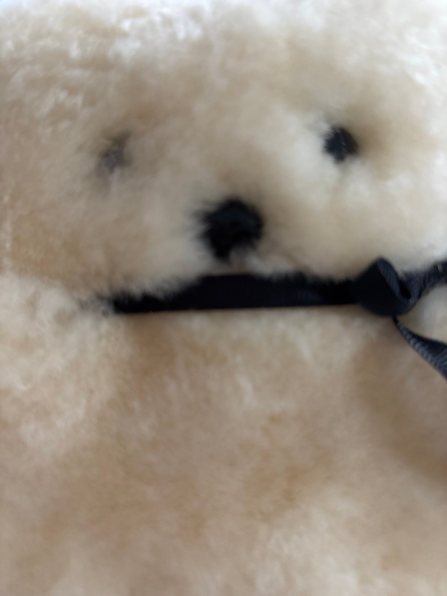 FLATOUT Baby Bear | milk