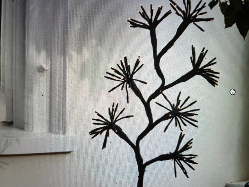 Solar Starburst Branch