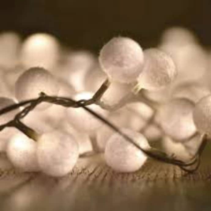 White Pom Pom Lights