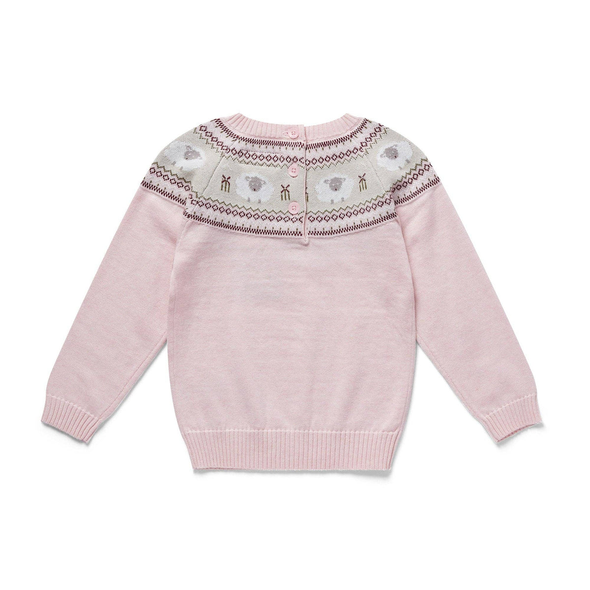 Organic Cotton Sheep Jumper