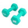 Pair Hex Dumbbell 1-10KG