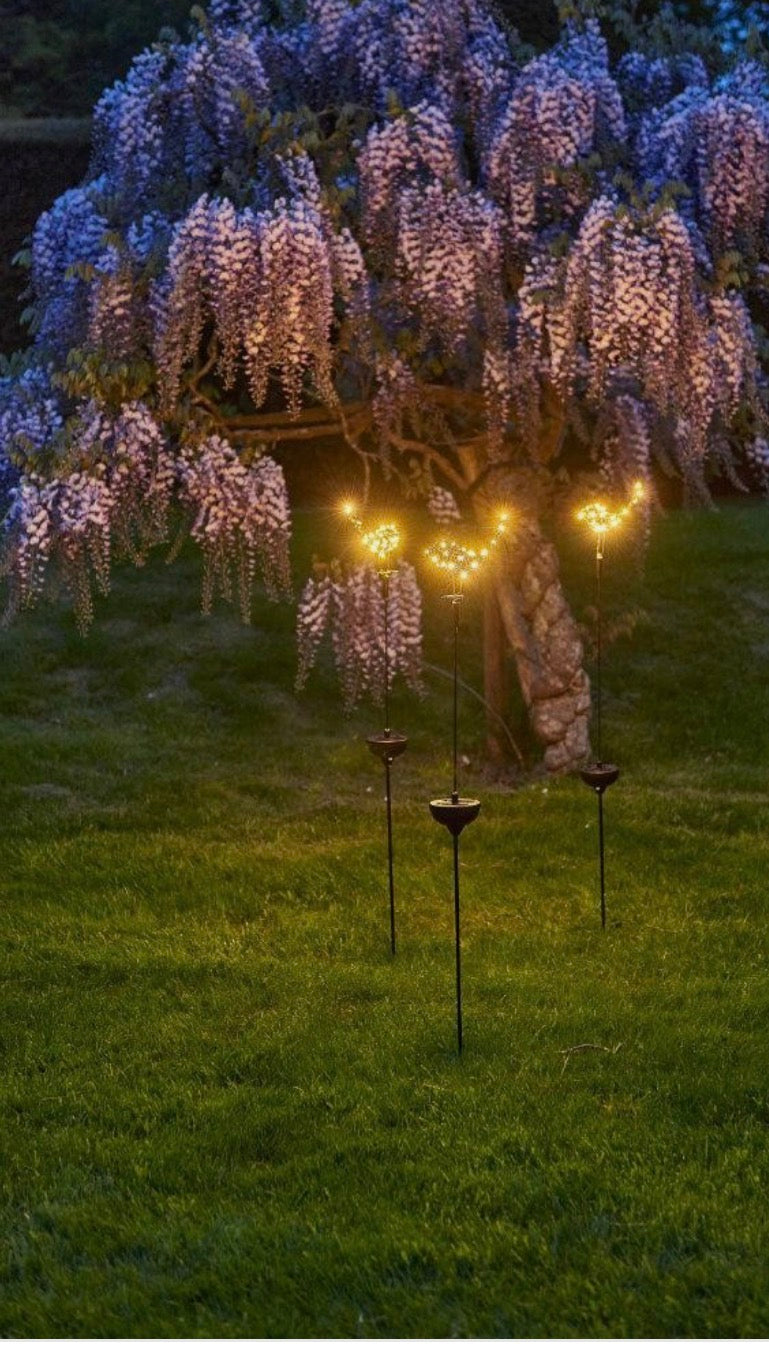 Robin Stake Light