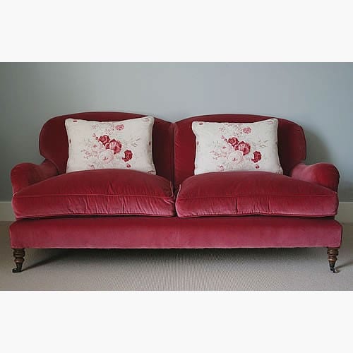Daisy Hardcastle  velvet