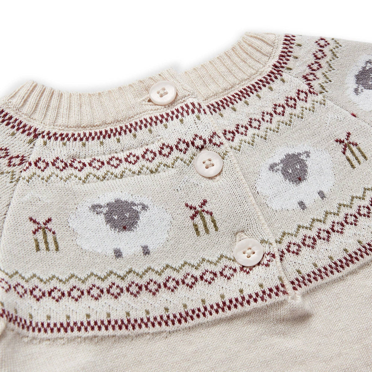 Organic Cotton Sheep Jumper