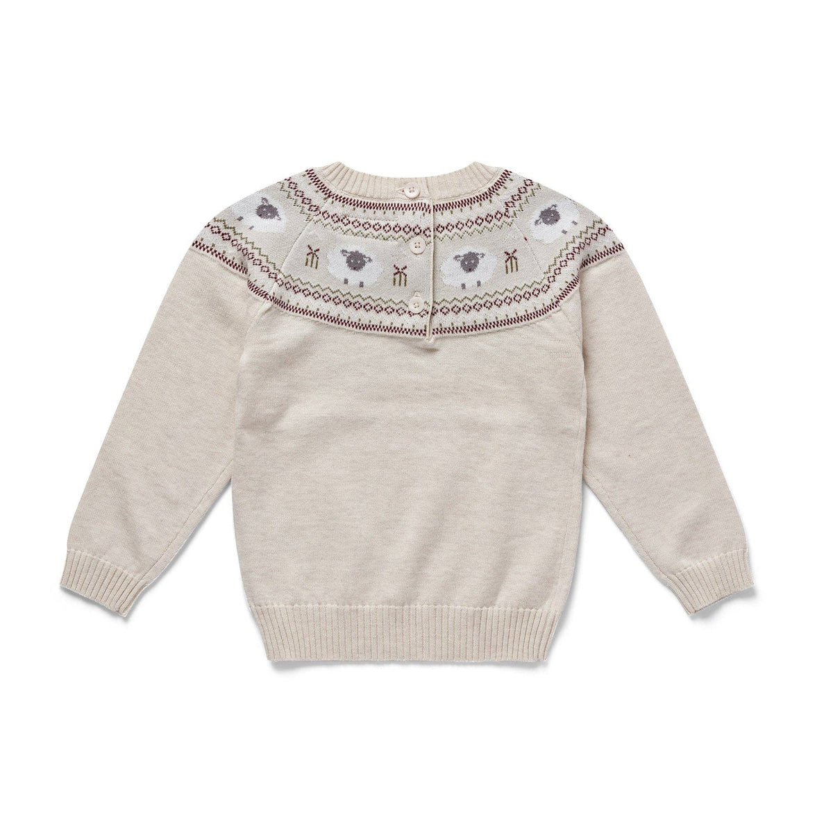 Organic Cotton Sheep Jumper