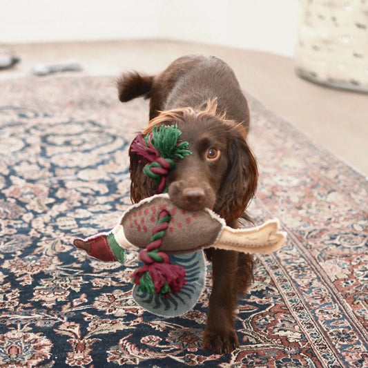 Pheasant Dog Toy