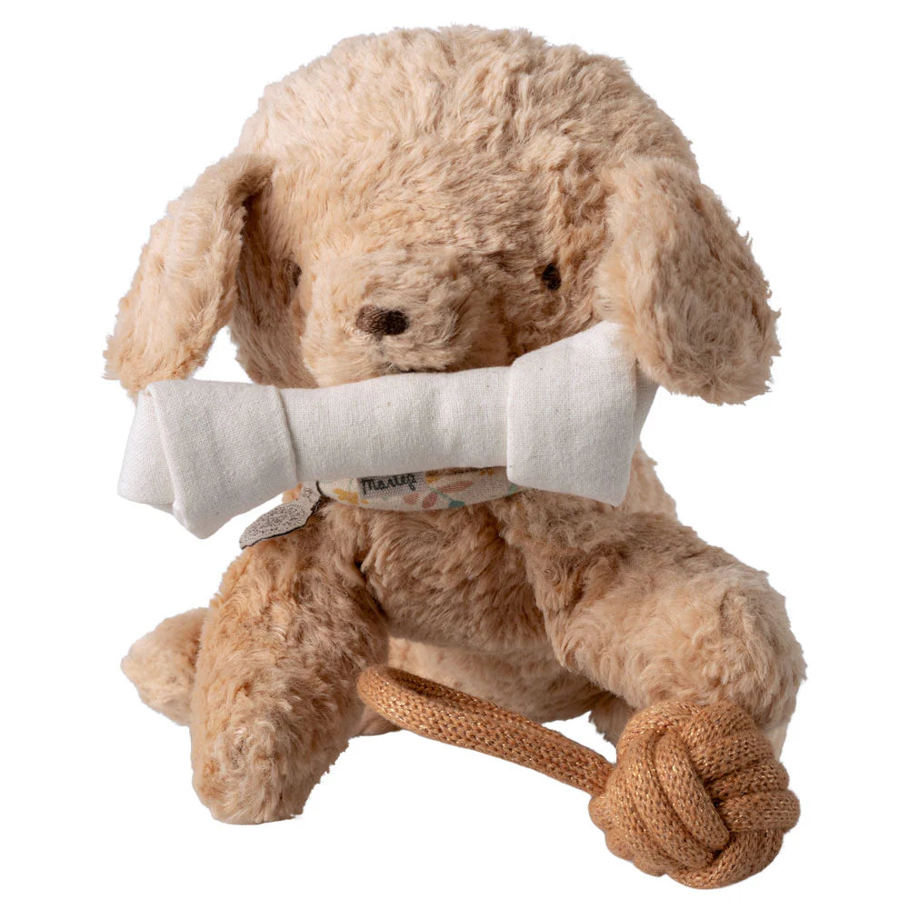 Puppy Supply, Toys