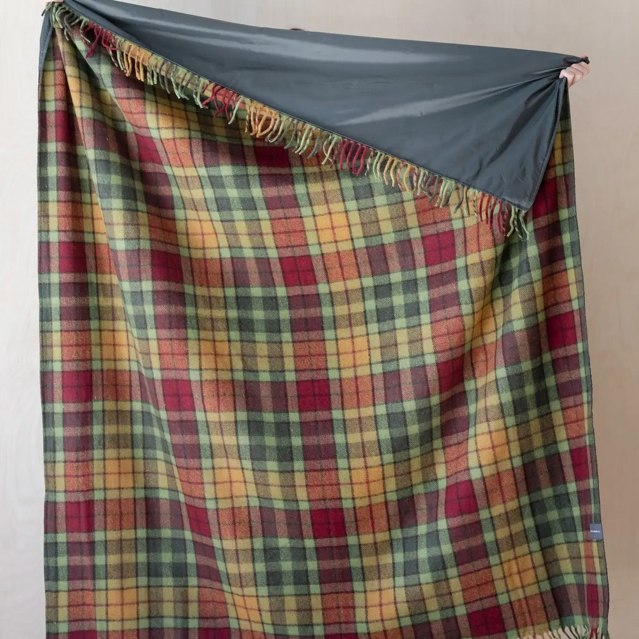 Recycled Wool Picnic Blanket Buchananautumn Tartan & Carrier