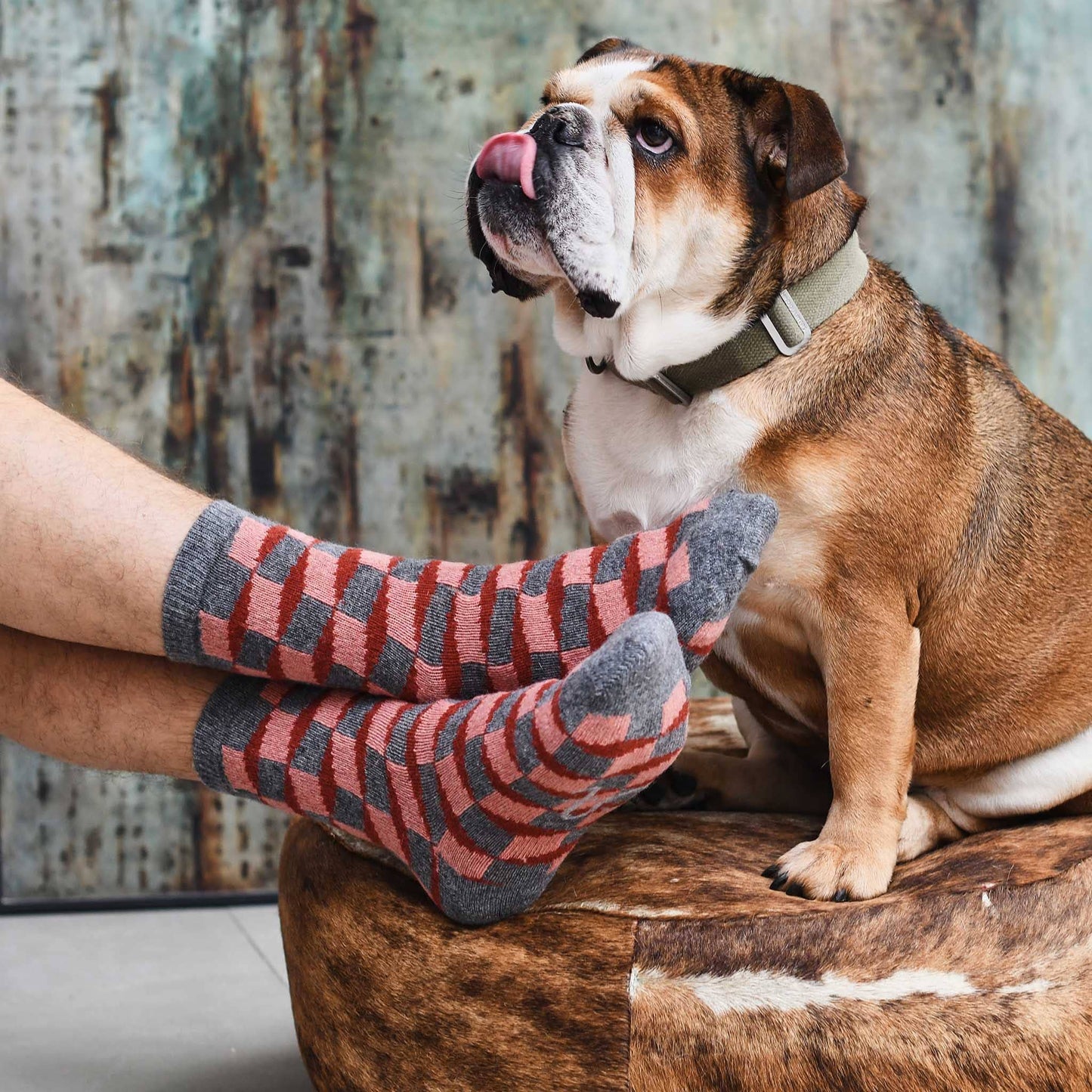 Men's Lambswool Ankle Socks