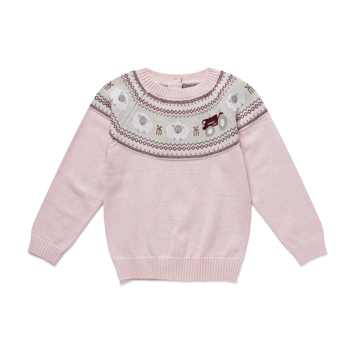 Organic Cotton Sheep Jumper