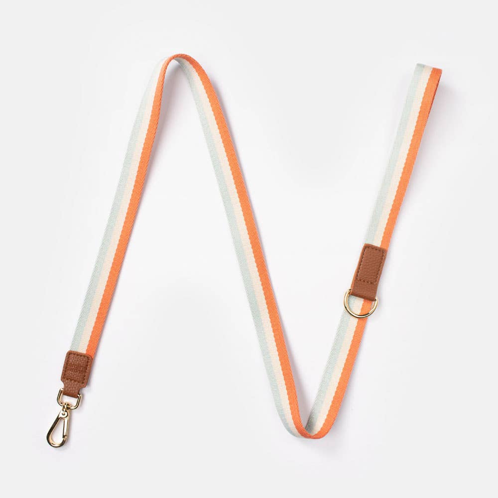 Orange Stripe Dog Lead