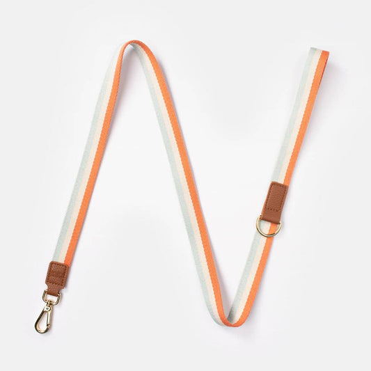 Orange Stripe Dog Lead