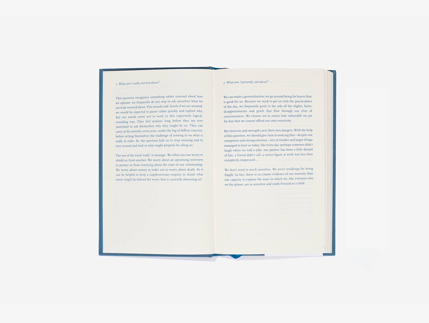Self Reflection Journal, Writing Prompt Guide (new)