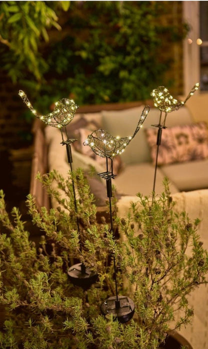 Robin Stake Light