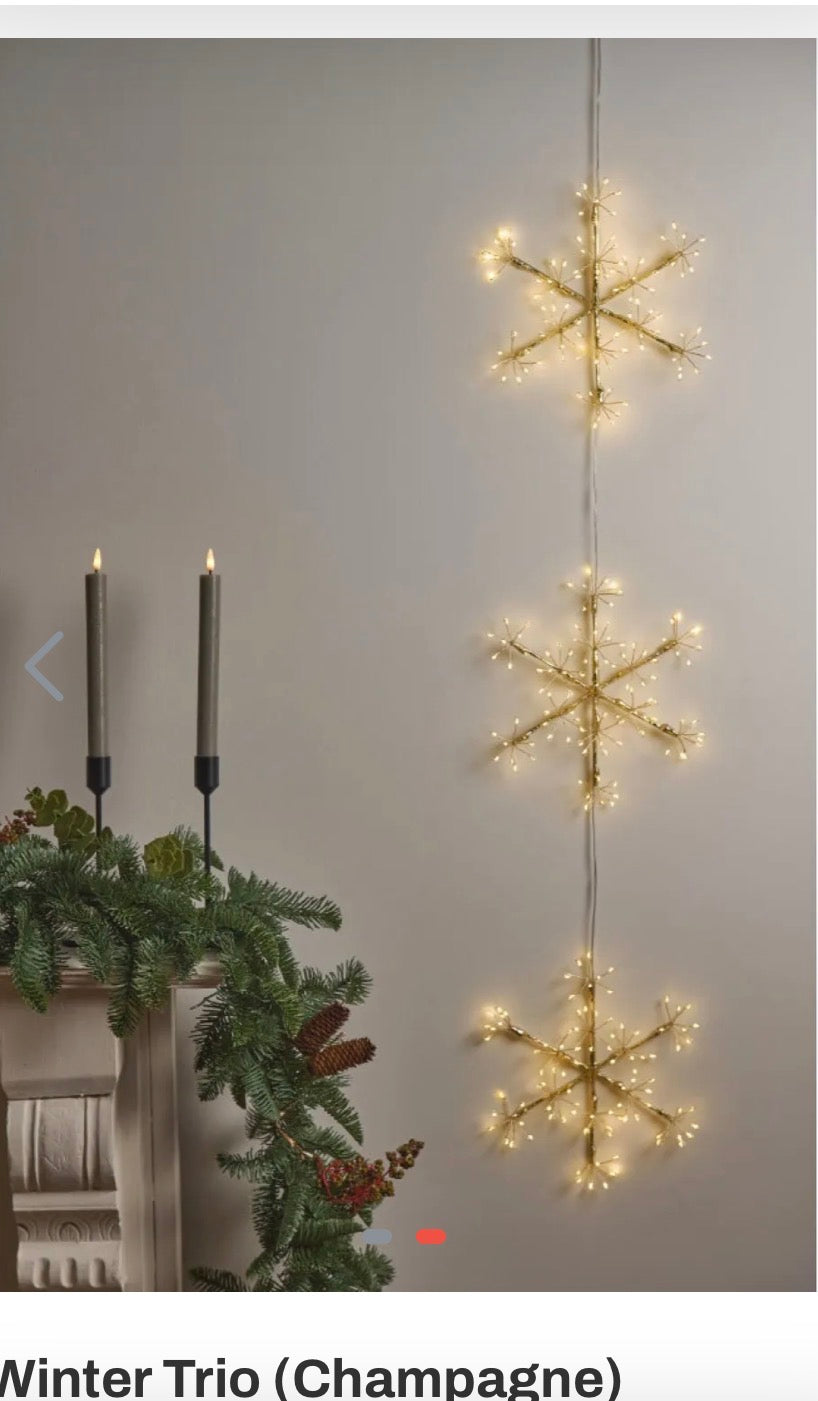 Winter Trio (Champagne)