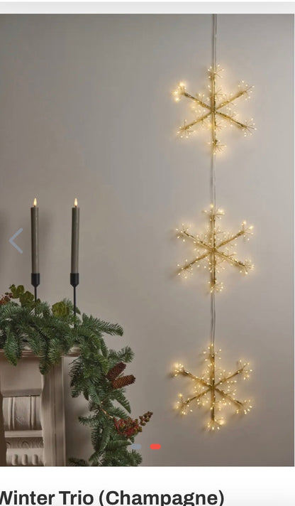 Winter Trio (Champagne)