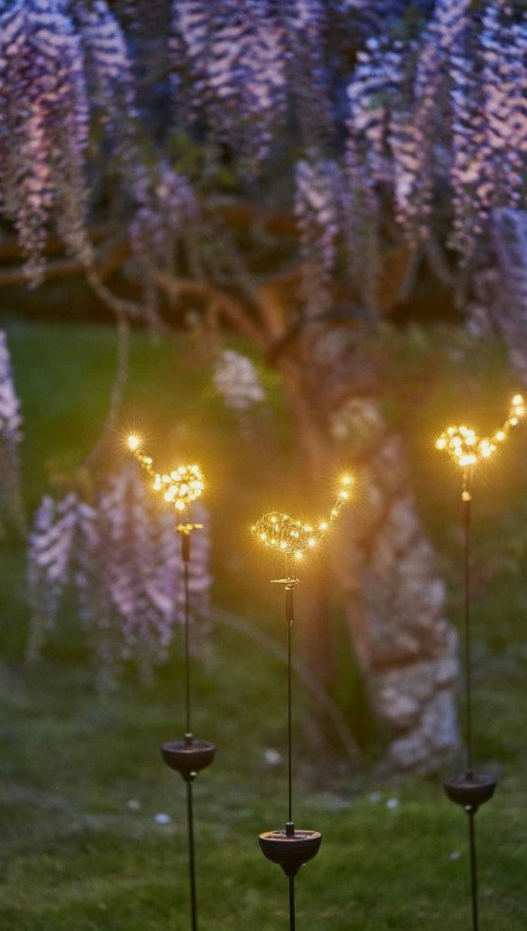 Robin Stake Light